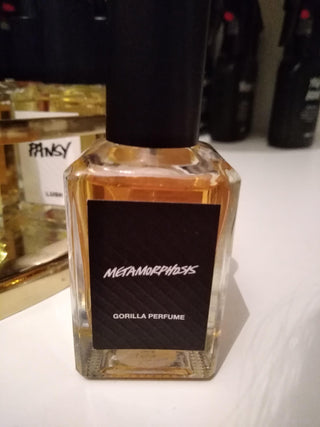 Metamorphosis Lush Perfume for Women and Men - Fragrance Bottle Image