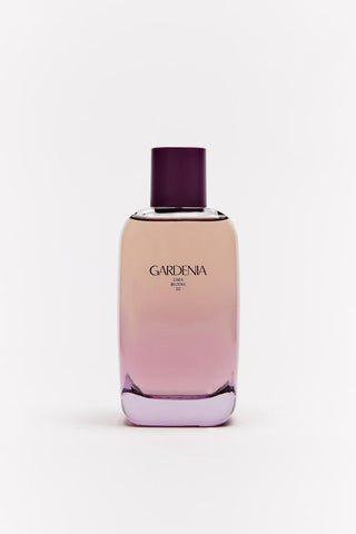 Zara Gardenia Womens Perfume - Fragrance Bottle Image