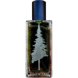 Coastal Veil Pineward Perfumes Unisex Fragrance - Ocean-Inspired Scent | Buy Online Now!