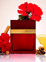 Seductive Red Homme Guess for men