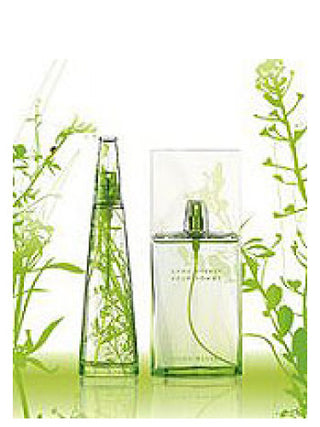 Issey Miyake LEau dIssey Summer 2007 Homme perfume for men - 375x500 image