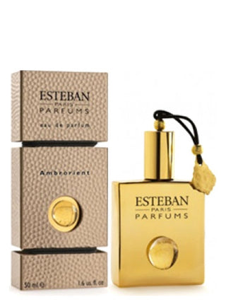 Unisex Cedre Esteban Perfume - Elegant fragrance for men and women | Buy Now