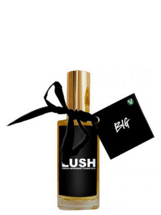 Big Lush Unisex Perfume - Elegantly crafted fragrance for women and men | Available at [Retailer Name]