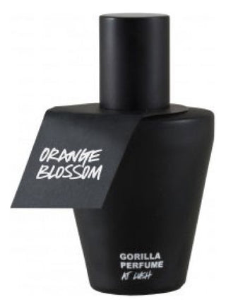 Orange Blossom Lush Unisex Perfume - Captivating fragrance for women and men | Buy Now