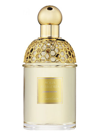 Womens Aqua Allegoria Jasminora Guerlain Perfume - Elegant floral fragrance for women - Buy Online Now