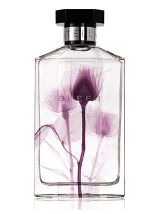 Shop Sheer Stella 2011 Stella McCartney Perfume for Women - Captivating Floral Scent | Buy Now!