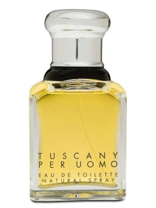 Tuscany Per Uomo Aramis Mens Perfume - Classic Fragrance for Men | Shop Now