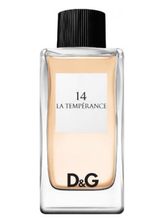 Shop D&G Anthology La Temperance 14 Dolce&Gabbana for women perfume - Elegant fragrance bottle on white background