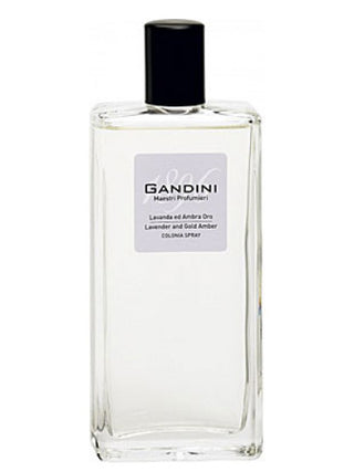 Unisex Lavender and Gold Amber Gandini 1896 Perfume - Fragrance for Women and Men