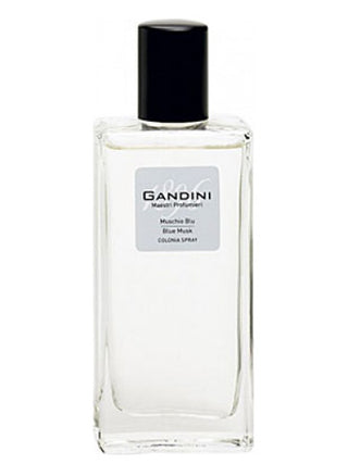 Blue Musk Gandini 1896 Unisex Perfume - Elegant fragrance for women and men | Buy Now