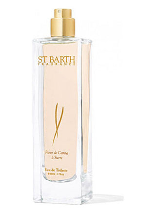 Fleur de Canne a Sucre Ligne St. Barth Womens Perfume - Exquisite fragrance for women, floral and sweet notes. Ideal for everyday elegance. Shop now!