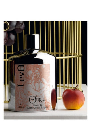 Leva ODriu Womens Perfume - Exquisite fragrance for women | Best perfume for women | Leva ODriu fragrance | Buy now