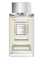 Hommage à l'Homme Eau de Toilette Lalique for men