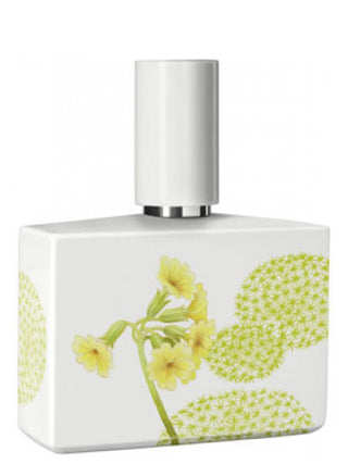 Unisex Bosque Limited Porcelain Edition Perfume by Humiecki & Graef - Fragrance for Men and Women