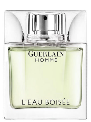 Shop Guerlain Homme LEau Boisée Mens Perfume - Best Price & Quality | Fragrance Image