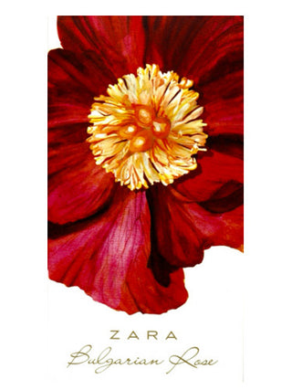 Stunning Bulgarian Rose Zara Perfume for Women - Shop Now!