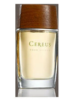 Cereus No.7 Cereus for men