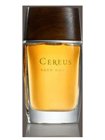 Cereus No.11 Cereus for men