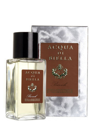 Mens Bursch Acqua di Biella Perfume - Designer Fragrance for Men