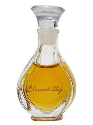 Chantilly Houbigant Womens Perfume - Elegant Fragrance Bottle