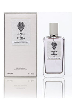 Acqua di Stresa Perfume for Women and Men - Elegant Fragrance Bottle - Best Unisex Scent - Buy Now