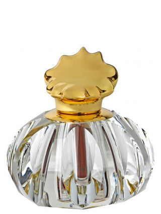 Buy Dahn Al Oudh Maysaam Ajmal Perfume for Men and Women Online - Best Price