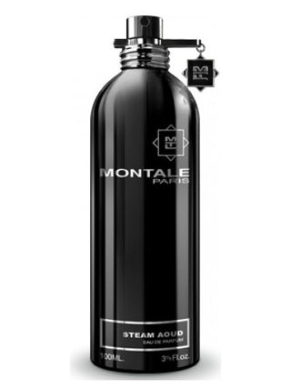 Steam Aoud (Aoud Hoggar Mota) Montale Unisex Perfume - Buy Now for Men and Women