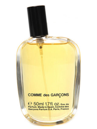 Comme des Garcons Perfume for Women and Men - Elegant Fragrance Bottle - Best Unisex Scent - Perfume Image