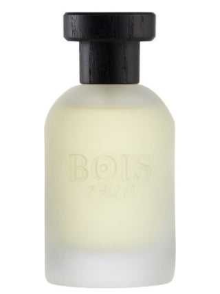 Vetiver Ambrato Bois 1920 Perfume for Women and Men - Elegantly crafted fragrance image