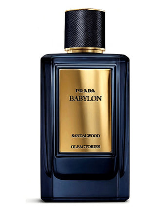 Mirages Babylon Prada Unisex Perfume - Elegantly crafted fragrance for women and men | Shop now for irresistible scents