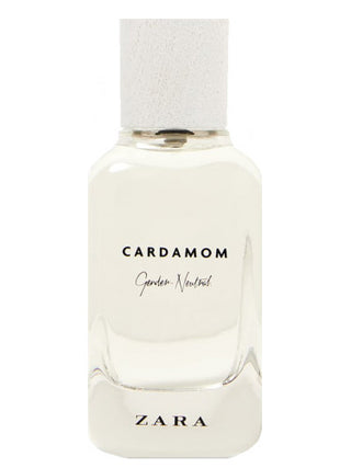 Cardamom Gender Neutral Zara Perfume for Women and Men - Fragrance Image