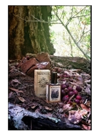 Alt text: Black Forest Solstice Scents Perfume for Women and Men - Captivating Fragrance | Shop Now