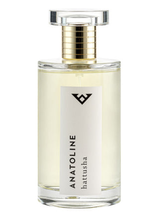 SHAMAN Anatoline unisex perfume - luxury fragrance for women and men