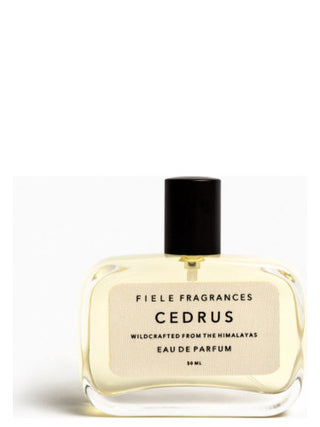 Exquisite Cedrus Fiele Fragrances for Women and Men - Buy Online Now!