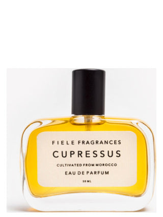 Unisex Cupressus Fiele Fragrances - Best Perfume for Women and Men - Buy Now!