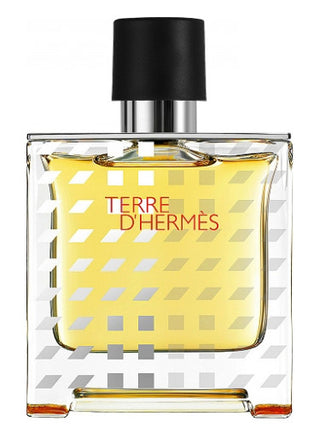 Terre dHermes Flacon H 2019 Eau de Toilette by Hermès for Men - Best Mens Fragrance Image