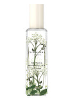 Nettle & Wild Achillea Jo Malone London for women and men