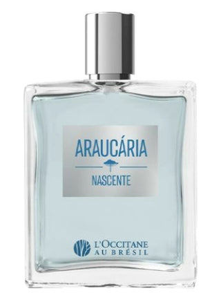 Mens Araucária Nascente L’Occitane Au Brésil Perfume - Captivating Woody Scent | Shop Now