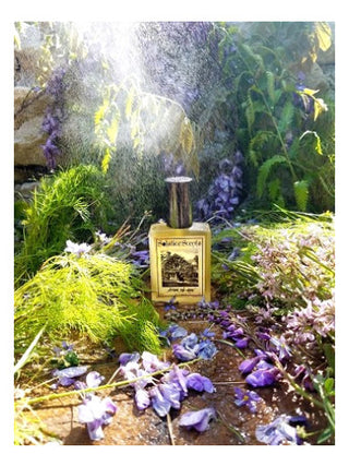 Unisex After the Rain Solstice Scents Perfume - Best Fragrance for Women and Men