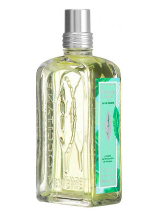 Verveine Sorbet LOccitane en Provence Unisex Perfume - Fresh Citrus Scent - Buy Online