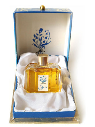 Modry Iris Astrid womens perfume - Elegant floral fragrance - Buy now for a luxurious scent experience