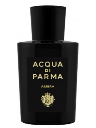 Ambra Eau de Parfum Acqua di Parma for women and men - luxury fragrance bottle on white background