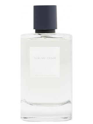 Sublime Cedar Zara Mens Perfume - Captivating woody fragrance for men | Buy Now