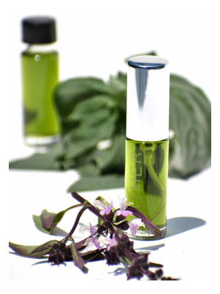 Basil Gather Perfume for Women and Men - Unisex Fragrance Bottle - Perfume Image