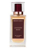 Lantern Reed Prosody London for women and men