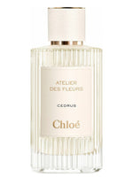 Cedrus Chloé for women and men