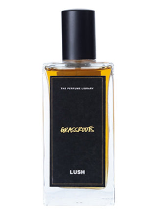 Grassroots Lush Unisex Perfume - Refreshing Scent for Women and Men