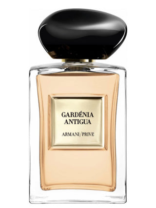 Giorgio Armani Gardénia Antigua Perfume for Women and Men - Exquisite Floral Scent | Buy Online