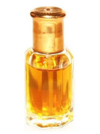 Orange and Cinnamon Paradise Perfumes and Gems for Women and Men - Exquisite Unisex Fragrance - Buy Now!