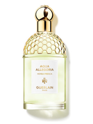 Aqua Allegoria Herba Fresca Guerlain Perfume for Women and Men - Refreshing Herbal Fragrance | Buy Online